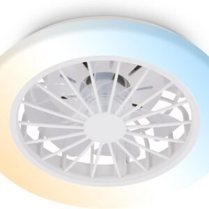 BRILONER - Plafonnier ventilateur de plafond LED avec éclairage, télécommande, moteur DC silencieux à 5 vitesses, CCT et intensité réglable, plafonnier LED ventilateur, salon, 38 cm, blanc